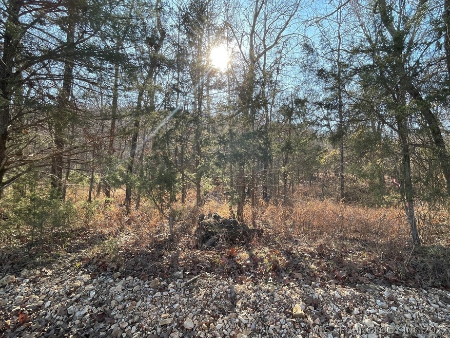 331 Bailey Blvd, Tahlequah, OK 74464 - photo 1