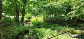 1380 Jasmine Rd, Goochland, VA 23063 - photo 1