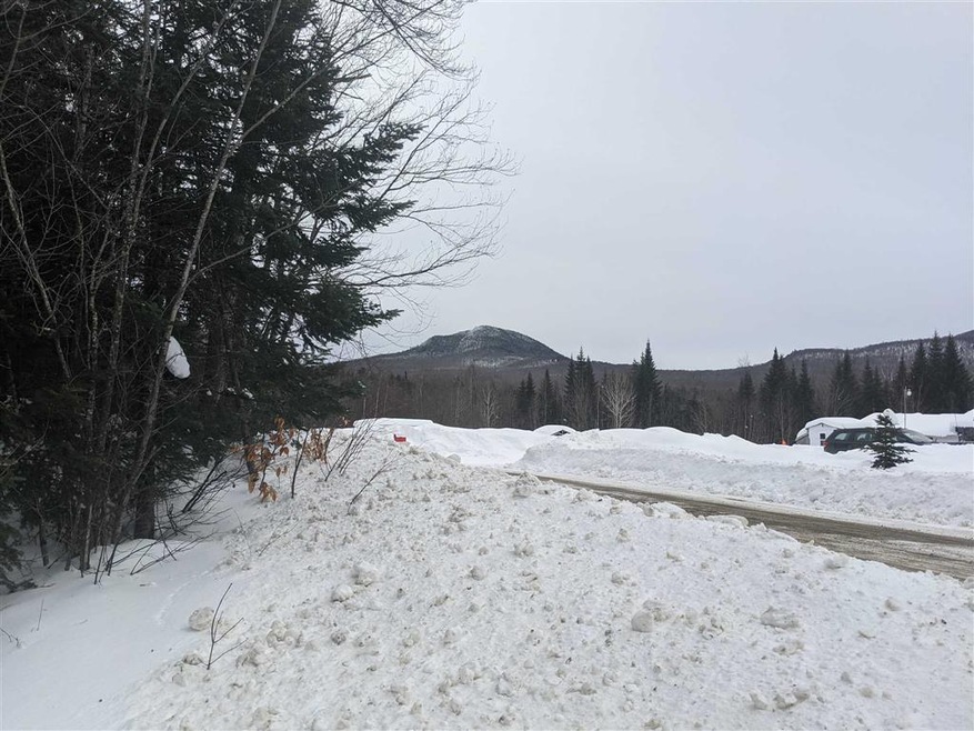 31.5 Ac Cheney Rd, Lowell, VT 05847 - photo 1