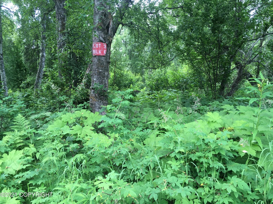 L3 BE E Wolf Trail, Trapper Creek, AK 99683 - photo 1