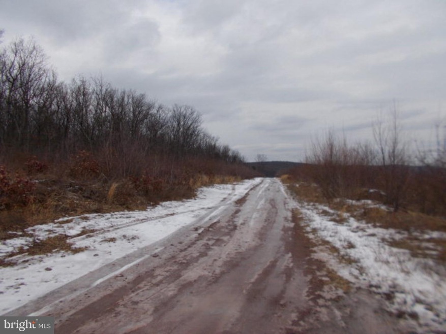 0 E of Wildcat unit 1002314594, Walker Township, PA 18252 - photo 1