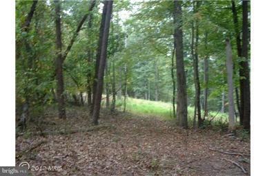 15 Pack Horse Rd, Cross Junction, VA 22625 - photo 1