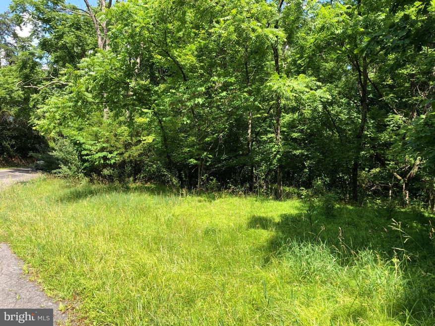 0 Virginia Line Rd unit WVMO115566, Berkeley Springs, WV 25411 - photo 1