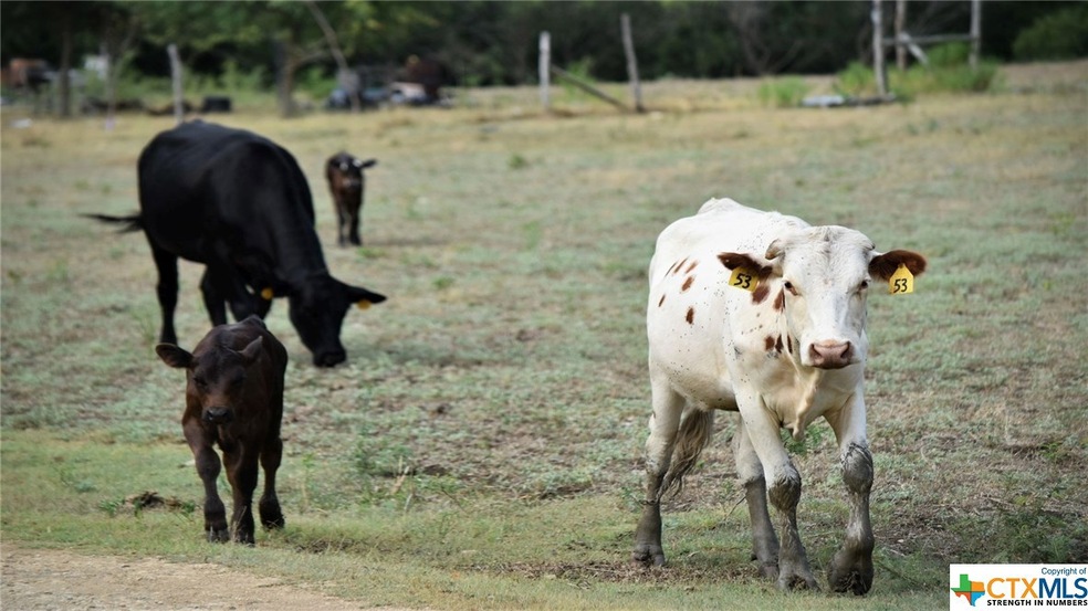 352 Montgomery Ln, Moody, TX 76557 - photo 1