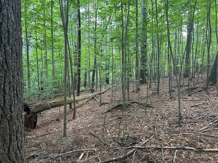 L 10&16 Josie Dr, Blairsville, GA 30512 - photo 1