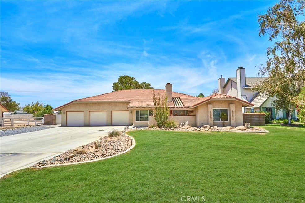 Yard has been enhanced to show potential