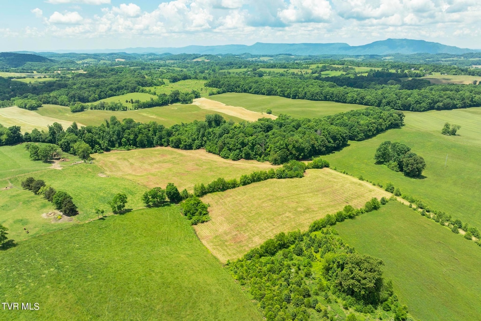 DJI_0765