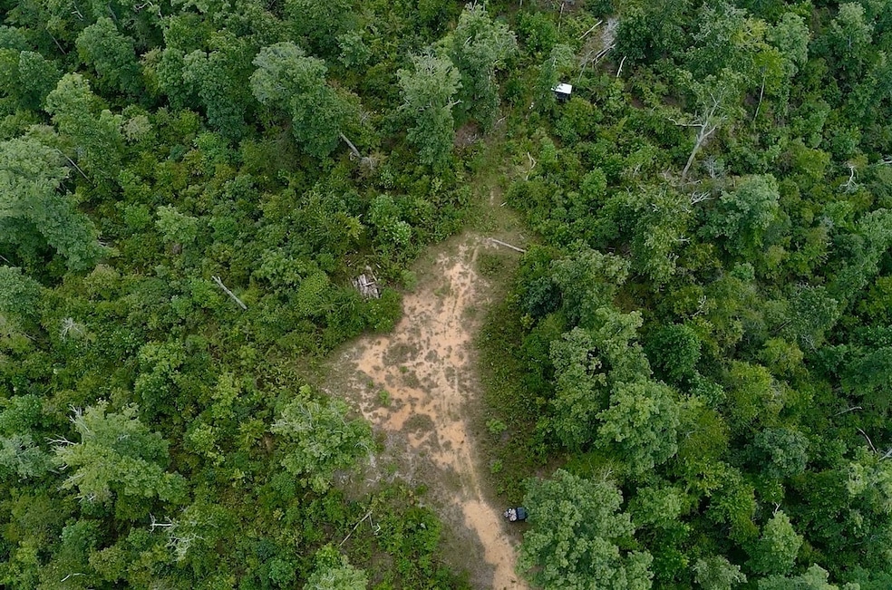 0 Mouse Tail Rd, Parsons, TN 38363 - photo 1