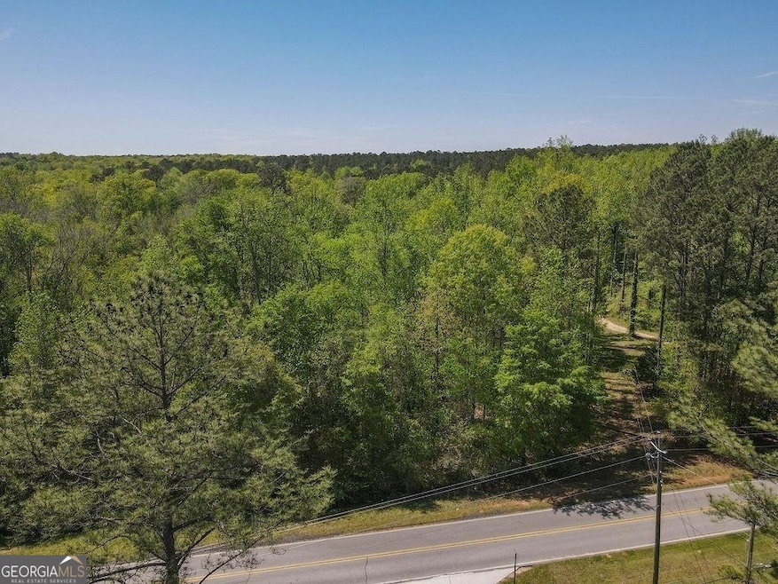 1714 Stallings Rd, Senoia, GA 30276 - photo 1