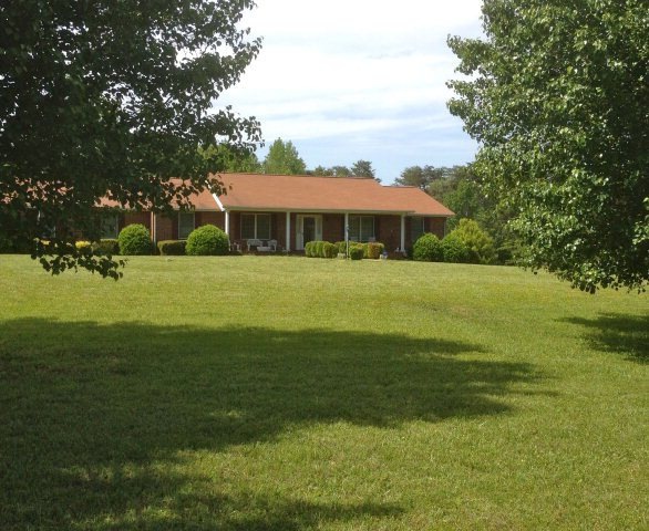 Main View