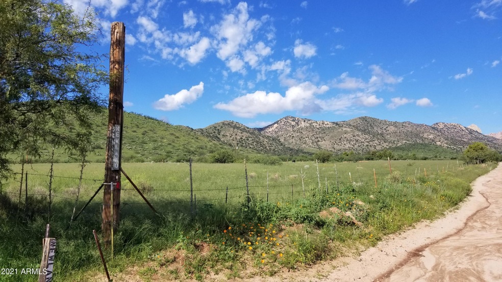 Newland & S. Palm Rd (5)