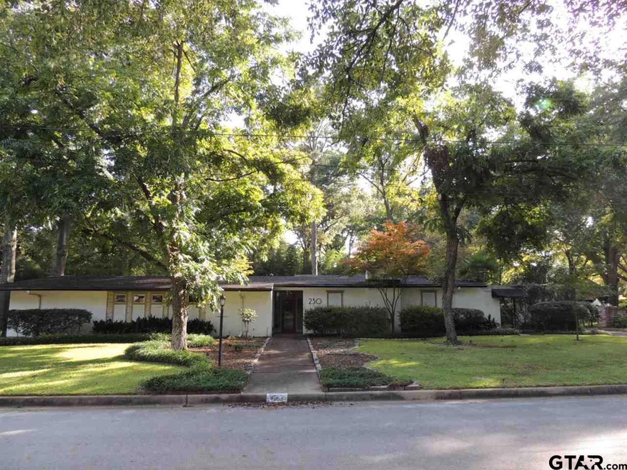 230 230 Glenhaven Dr, Tyler, TX 75701 - photo 1