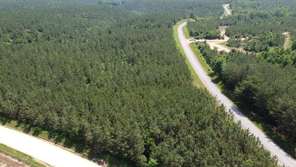 1 Rockhouse Rd, Flatwoods, TN 37096 - photo 1