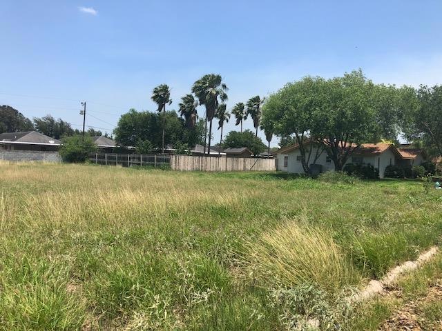 1709 Dulcinea, Edinburg, TX 78539 - photo 1