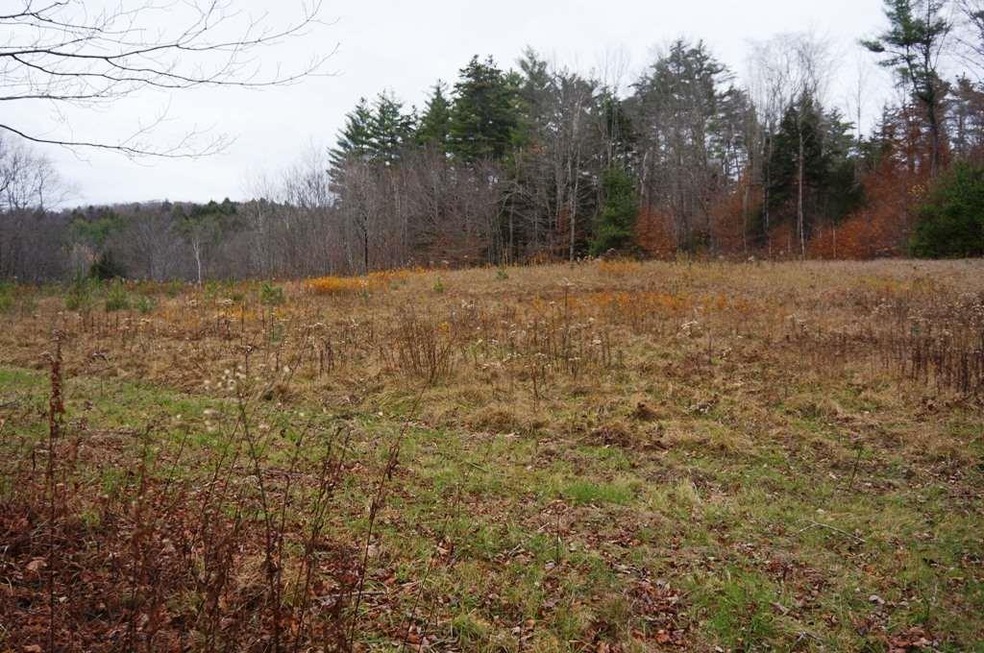 0 Thayer Brook Rd unit 4872885, Alstead, NH 03602 - photo 1