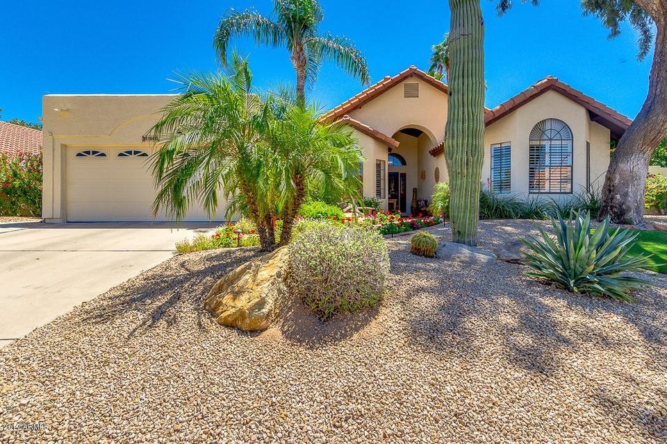 Desert Landscaping