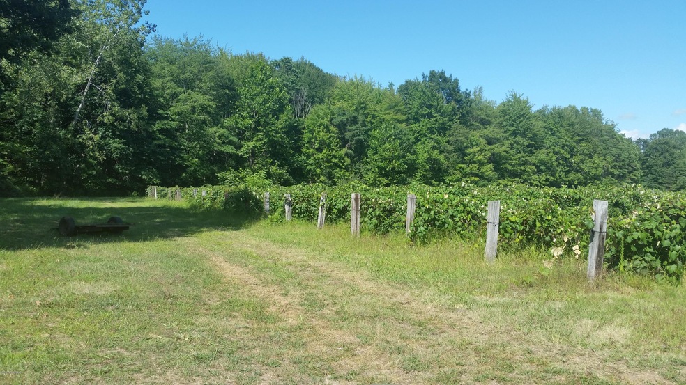 13320 Red Arrow Hwy, Chikaming Township, MI - photo 1