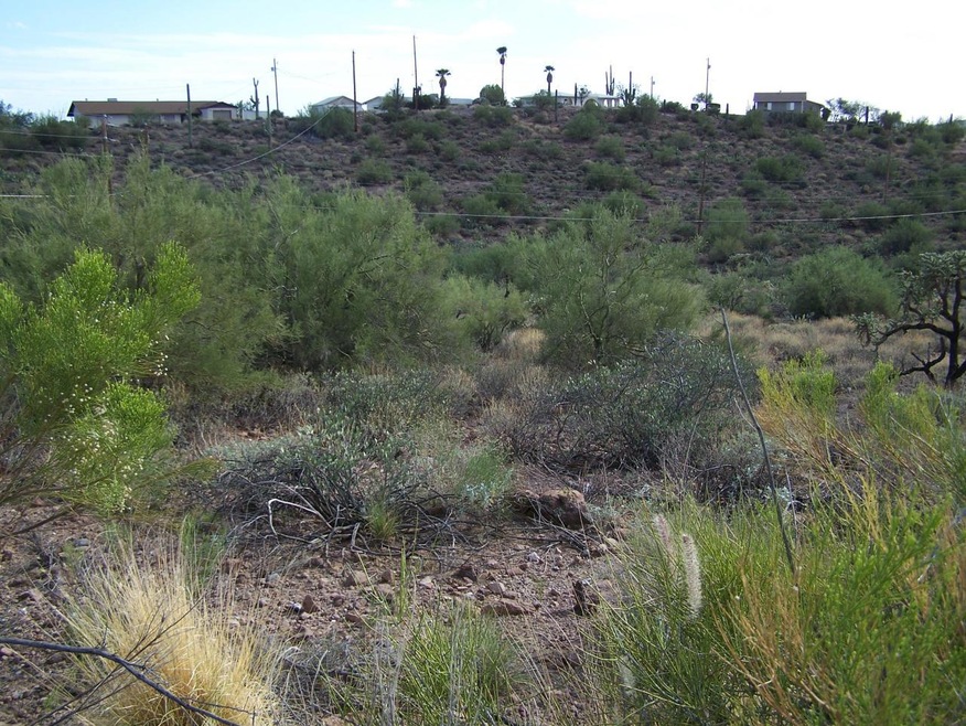 view of lot