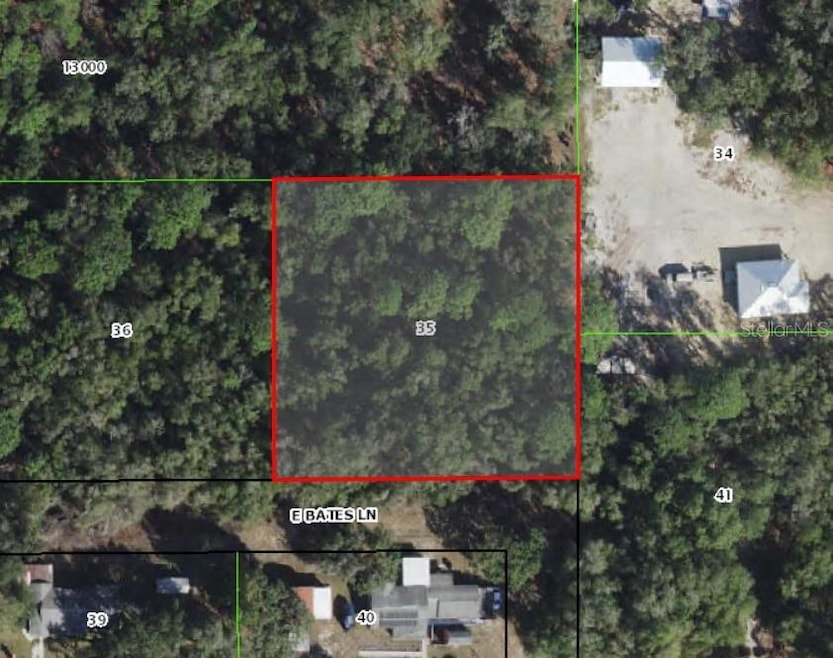 10641 E Bates Ln, Inverness, FL 34450 - photo 1