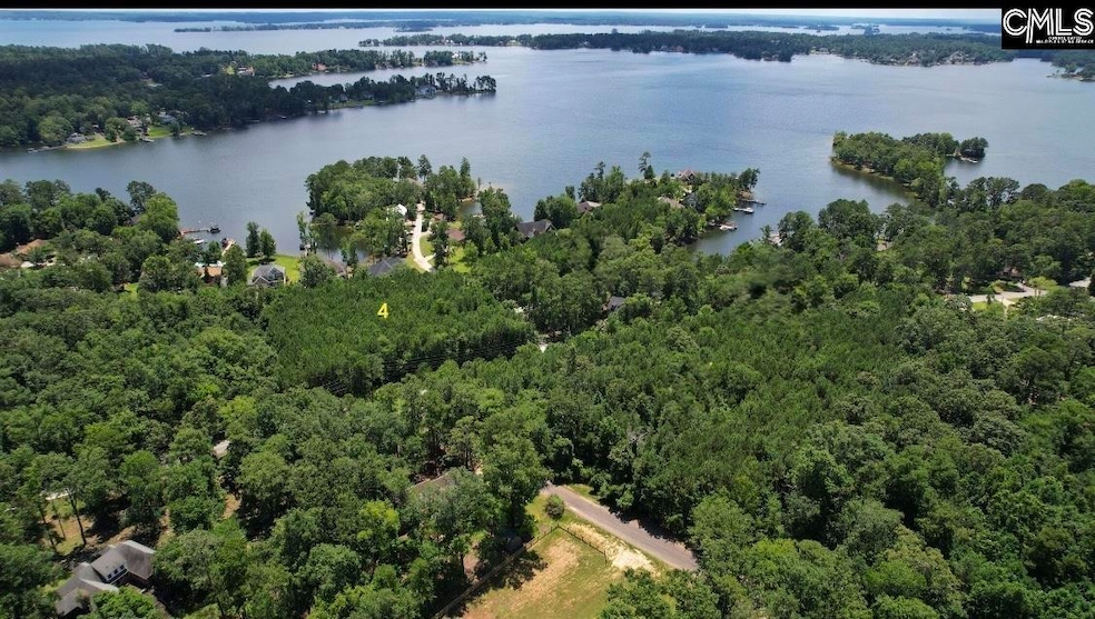 0 Three Point Rd, Chapin, SC 29036 - photo 1