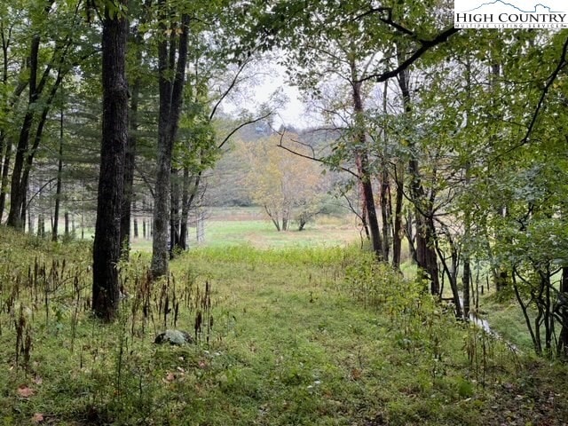 1 Old Boyer Ferry Rd, Galax, VA 24333 - photo 1
