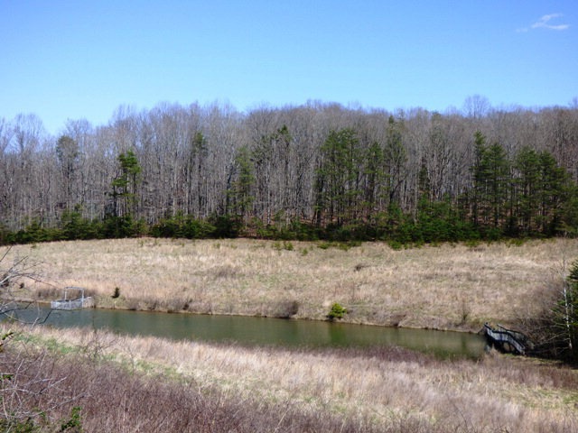 Main View