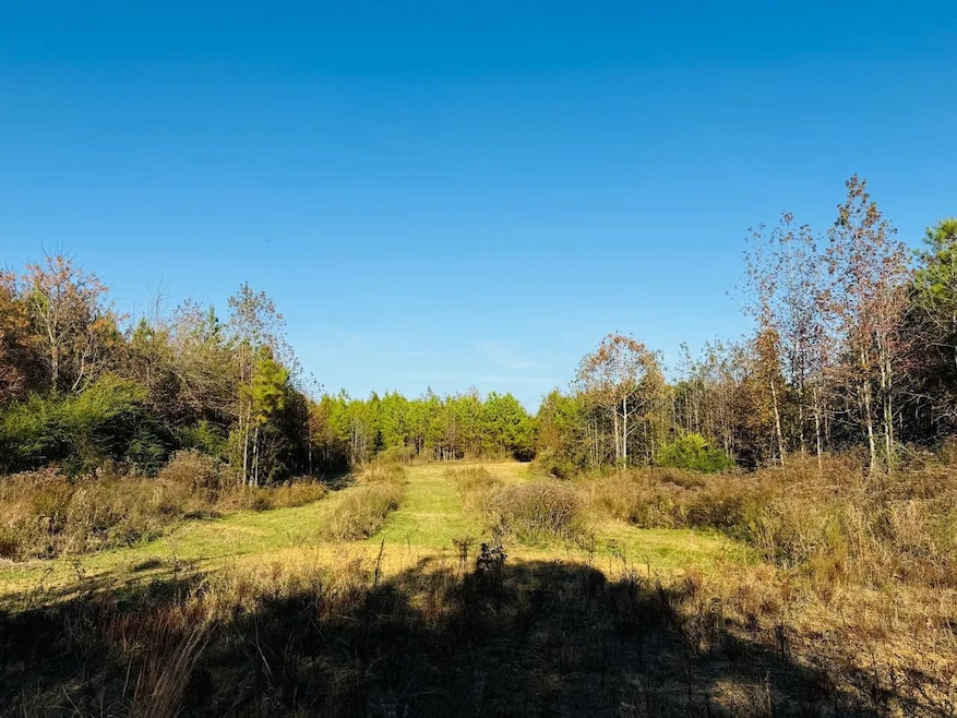 Cr 4210, Sallis, MS 39160 - photo 1