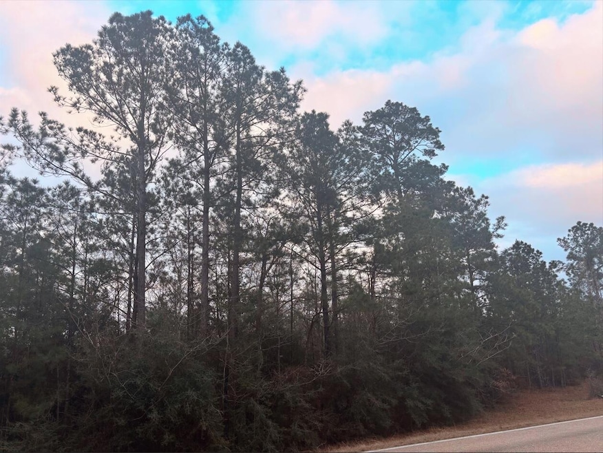 0 Tbd Chaffee Rd unit 20-458, Leesville, LA 71446 - photo 1