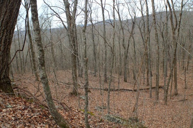 86 A Macedonia Rd, Cookeville, TN 38506 - photo 1