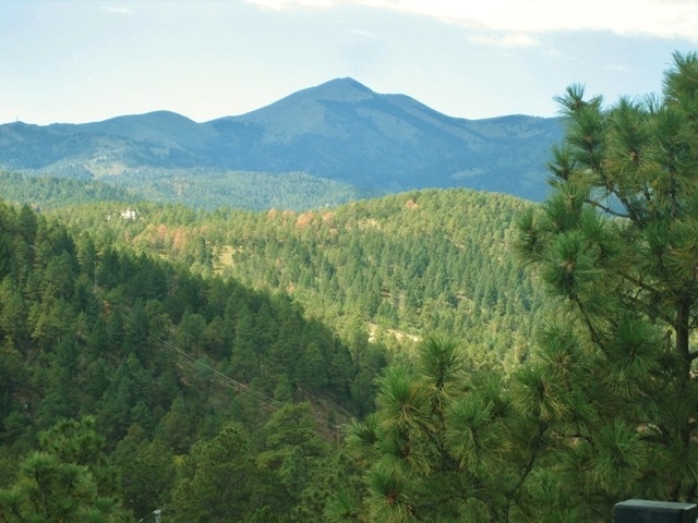 Primary Photo