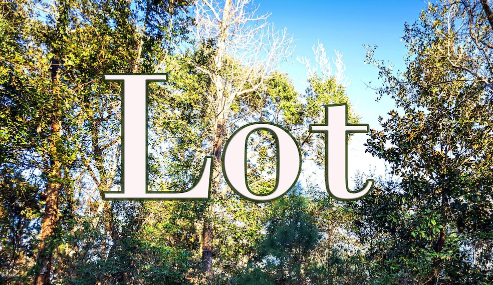 Lot pic