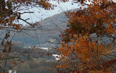 Main View