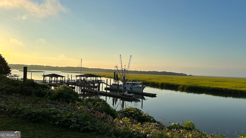 0 Pelican Perch Rd, Townsend, GA 31331 - photo 1