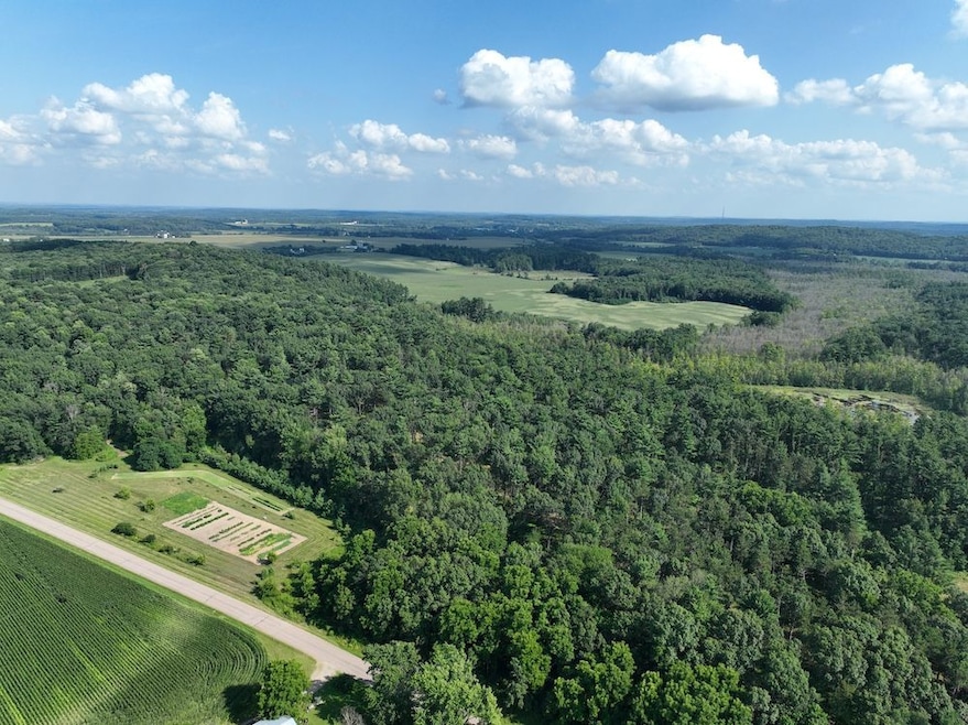 E853 Bestul Rd, Scandinavia, WI 54977 - photo 1