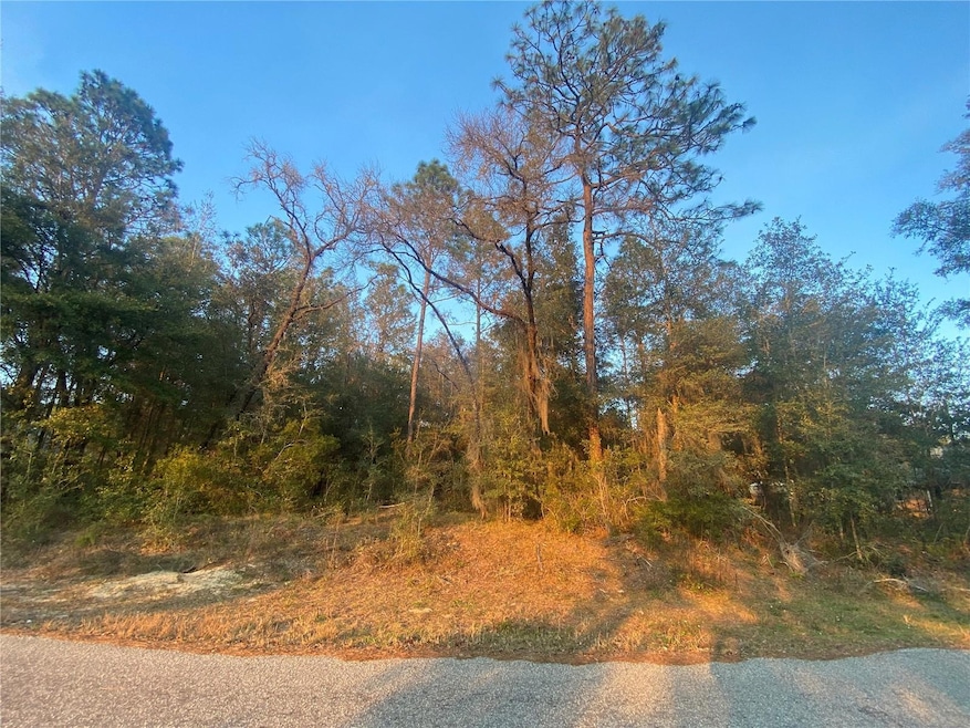 Lot 28 SW 206th Cir, Dunnellon, FL 34431 - photo 1