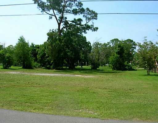 Primary Photo