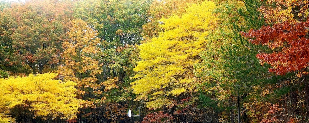 17 Ross Rd, Old Orchard Beach, ME 04064 - photo 1