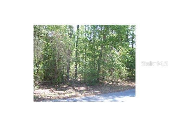 0 SW 210th Cir, Dunnellon, FL 34431 - photo 1