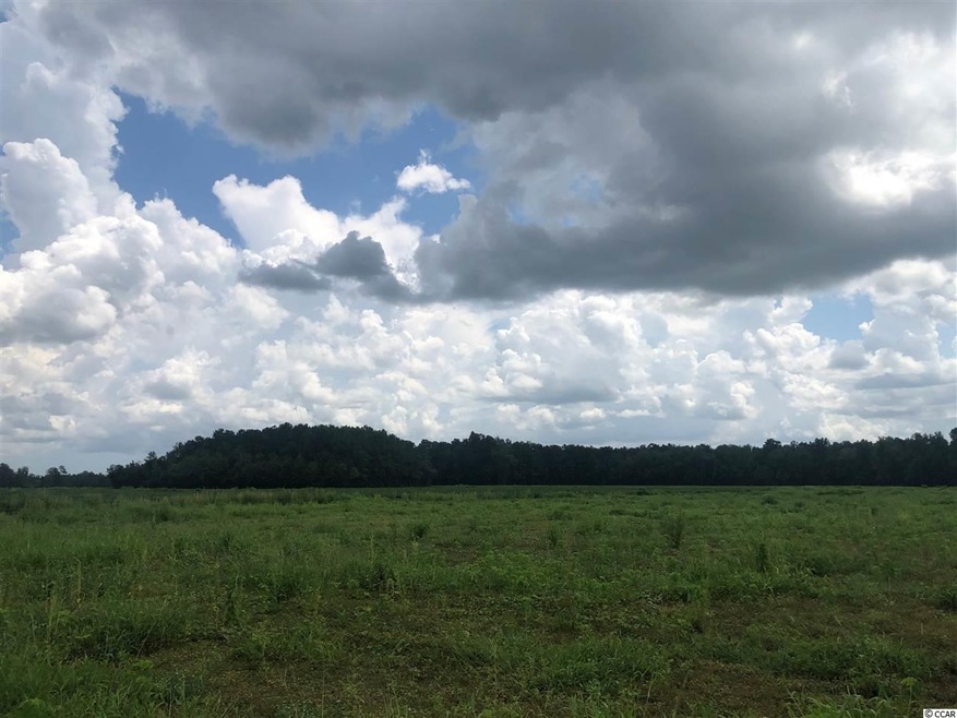 TBD W Highway 19 unit Lot 6, Loris, SC 29569 - photo 1