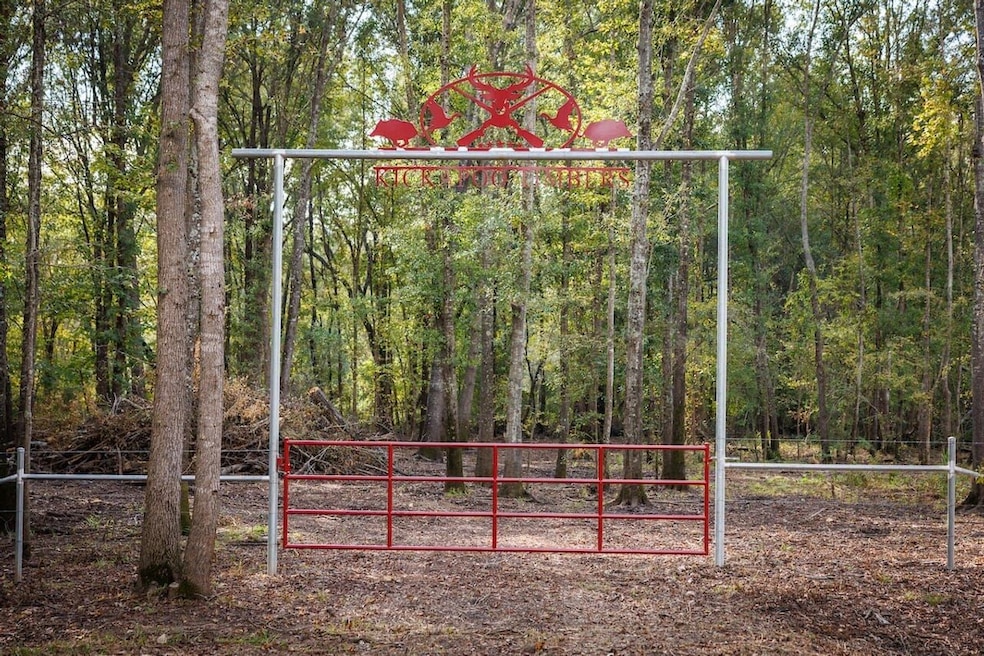 12245 County Rd 3514, Brownsboro, TX 75756 - photo 1