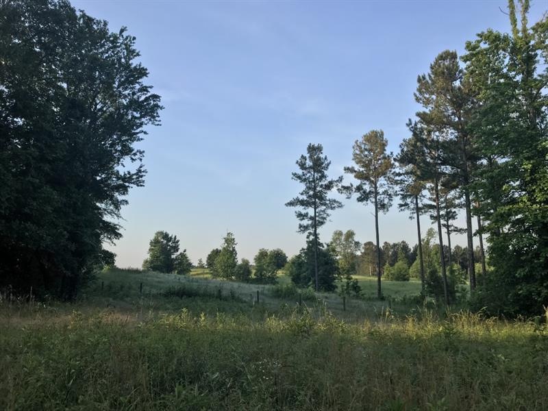 000 Mcafee Cir NE, Ranger, GA 30734 - photo 1