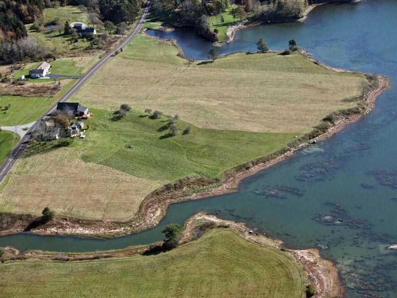 Aerial View.
