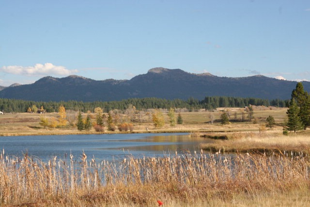 Main View