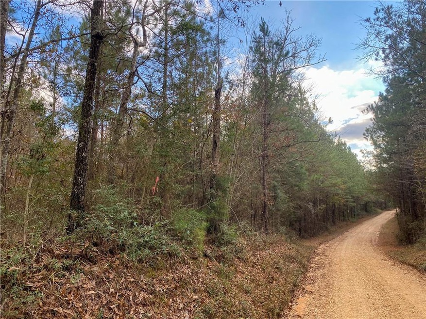 0 Jimi Brumfield Rd, Franklinton, LA 70438 - photo 1