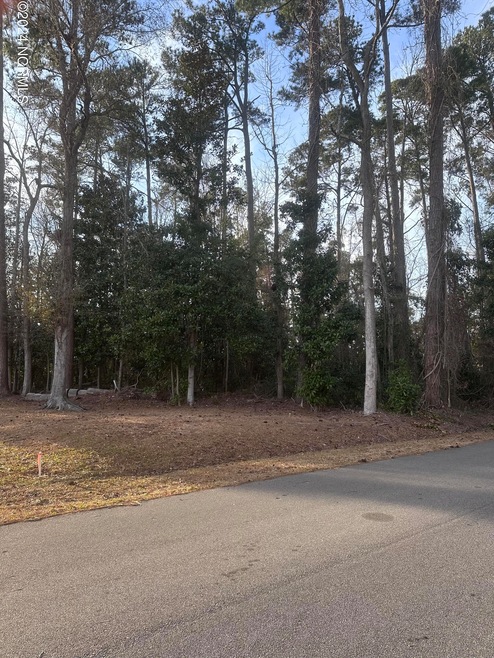 0 N Lloyd St, Burgaw, NC 28425 - photo 1