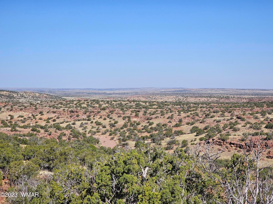 0 N6448, St. Johns, AZ 85936 - photo 1