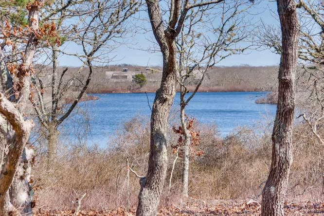 65 Jennie Athearn Rd, West Tisbury, MA 02575 - photo 1