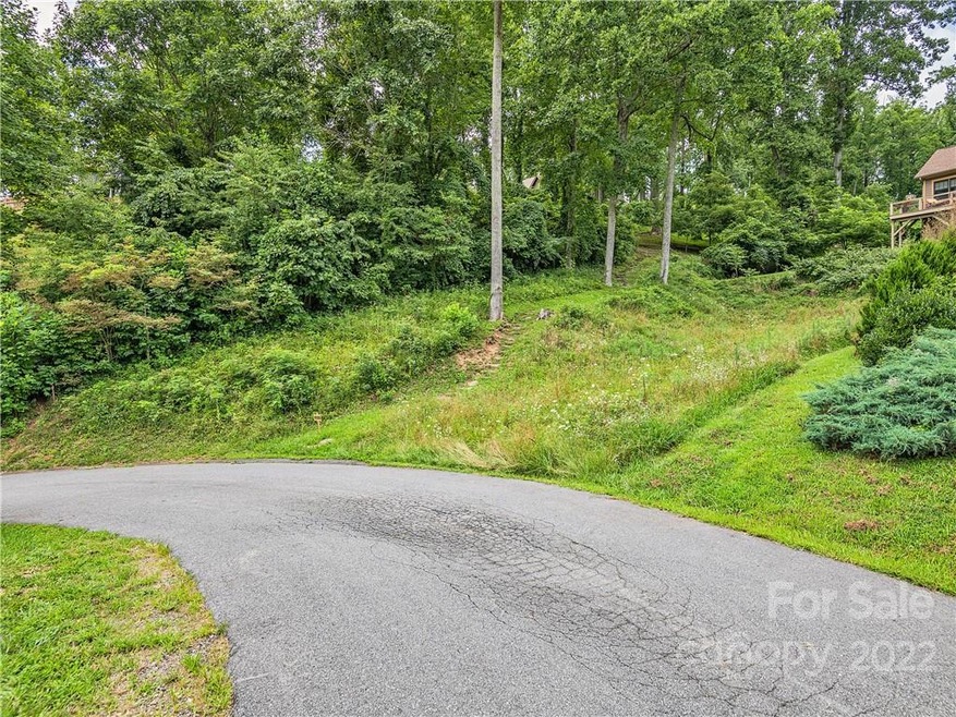 48 Kenai Dr unit V90B, Asheville, NC 28806 - photo 1