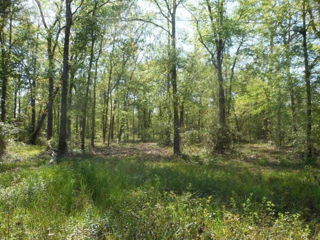 220 Oliver Rd, Lufkin, TX 75901 - photo 1