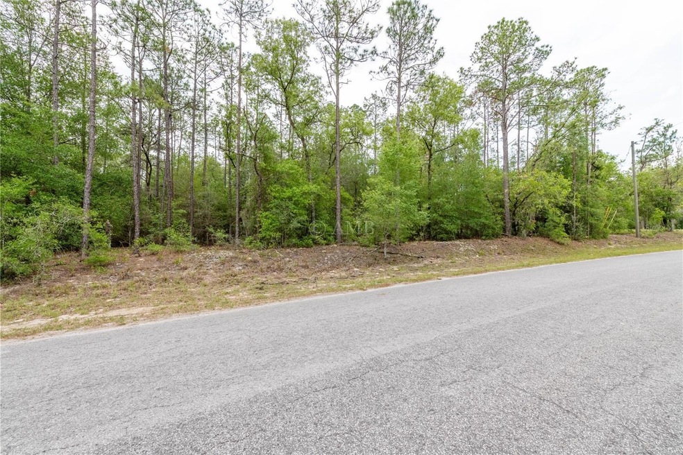 0 SW 205th Cir, Dunnellon, FL 34431 - photo 1